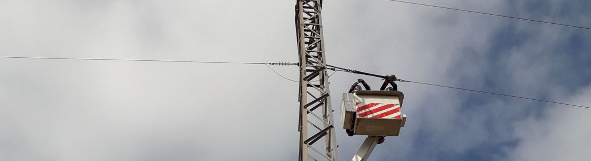 Operator protecting birdlife on an electricity pylon